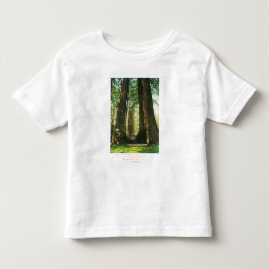 Uitzicht van sequoiwten bij Big Tree Grove Kinder Shirts (Voorkant)