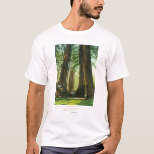 Uitzicht van sequoiwten bij Big Tree Grove T-shirt