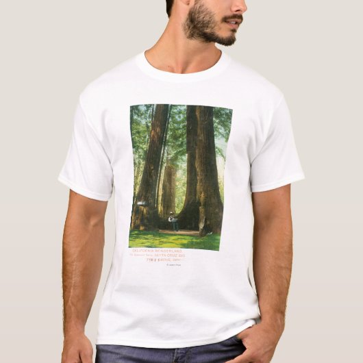 Uitzicht van sequoiwten bij Big Tree Grove T-shirt (Voorkant)