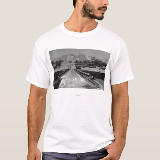 Uitzicht van Seward, Alaska van de Bridge Photogra T-shirt (Voorkant)