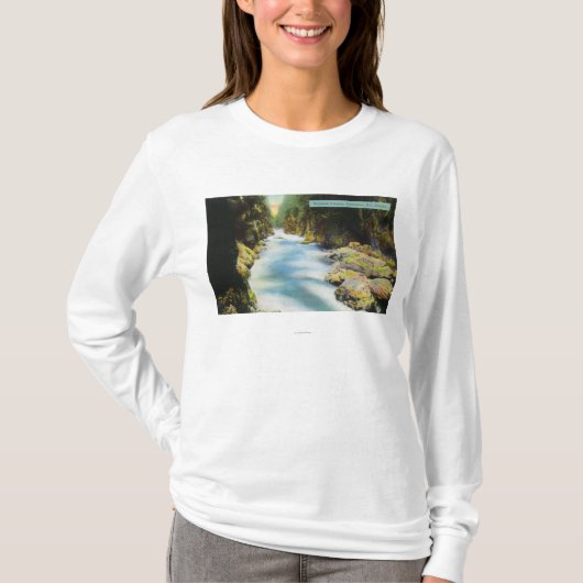 Uitzicht van Seymour Canyon T-shirt (Voorkant)