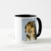 Uitzicht van shetland sheepdog mok (Voorkant rechts)