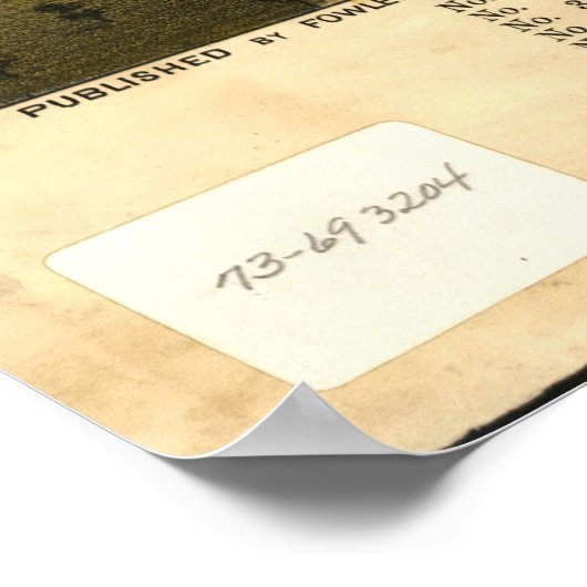 Uitzicht van Somerville, New Jersey (1882) Poster (Hoek)