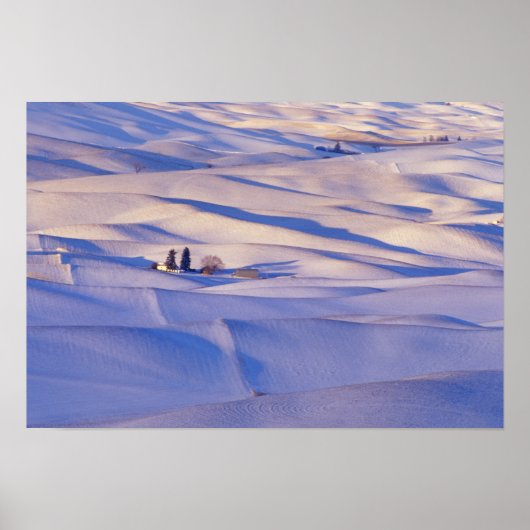 Uitzicht van Stepteen Butte van rolheuvels Poster (Voorkant)