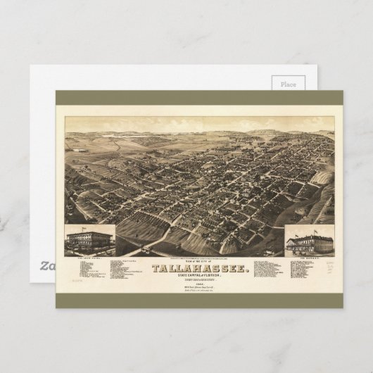 Uitzicht van Tallahassee, Florida (1885) Briefkaart (Voorkant / Achterkant)
