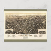 Uitzicht van Tallahassee, Florida (1885) Briefkaart (Voorkant)