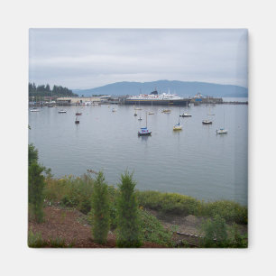 Uitzicht van Taylor Street Dock Magneet