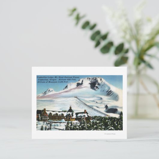 Uitzicht van Timberline Lodge, Mt Hood in de winte Briefkaart (Staand voorkant)
