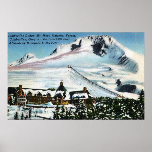 Uitzicht van Timberline Lodge, Mt Hood in de winte Poster (Voorkant)