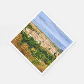 Uitzicht van Torres del Rio Servet (Hoek)