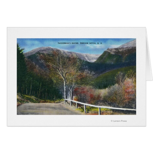 Uitzicht van Tuckermans Ravine (Voorkant Horizontaal)