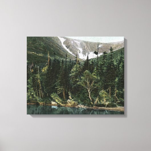 Uitzicht van Tuckermans Ravine, Mt. Washington Canvas Afdruk (Voorkant)