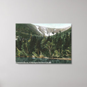 Uitzicht van Tuckermans Ravine, Mt. Washington Canvas Afdruk