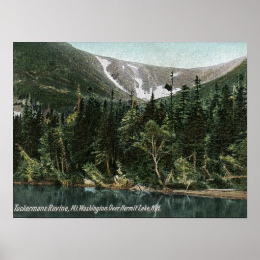 Uitzicht van Tuckermans Ravine, Mt. Washington Poster (Voorkant)