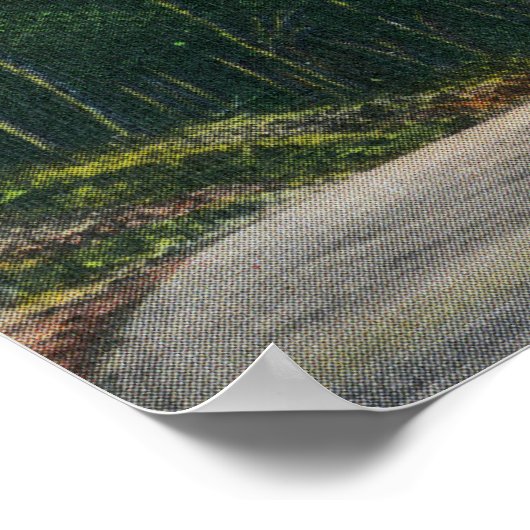 Uitzicht van Tuckermans Ravine Poster (Hoek)