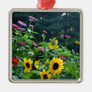Uitzicht van tuinbouw- zonnebloem, appelwijn, kosm metalen ornament