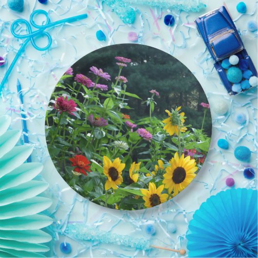 Uitzicht van tuinbouw- zonnebloem, appelwijn, kosm papieren bordje (Feest)