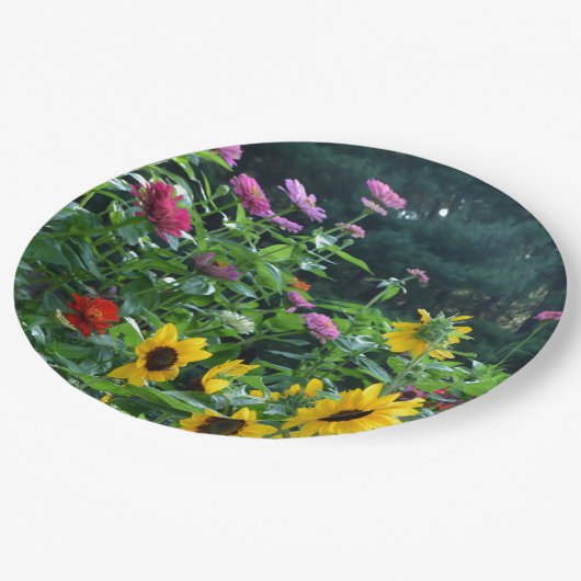 Uitzicht van tuinbouw- zonnebloem, appelwijn, kosm papieren bordje (Gekanteld)