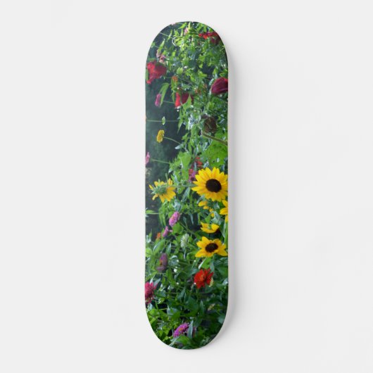 Uitzicht van tuinen, daisies, kosmos, zonnebloemen persoonlijk skateboard (Voorkant)