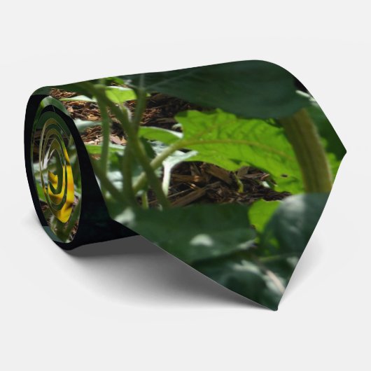 Uitzicht van tuinen, daisies, kosmos, zonnebloemen stropdas (Opgerold)