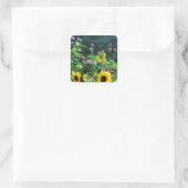 Uitzicht van tuinen, daisies, kosmos, zonnebloemen vierkante sticker (Tas)