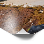 Uitzicht van Tulum Mayan Ruins Mexico Travel Souve Foto Afdruk (Hoek)