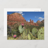 Uitzicht van Twin Buttes | Sedona, Arizona Briefkaart (Voorkant / Achterkant)