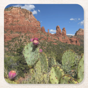 Uitzicht van Twin Buttes Sedona, Arizona Kartonnen Onderzetters