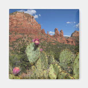 Uitzicht van Twin Buttes Sedona, Arizona Magneet