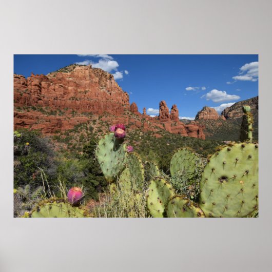 Uitzicht van Twin Buttes | Sedona, Arizona Poster (Voorkant)