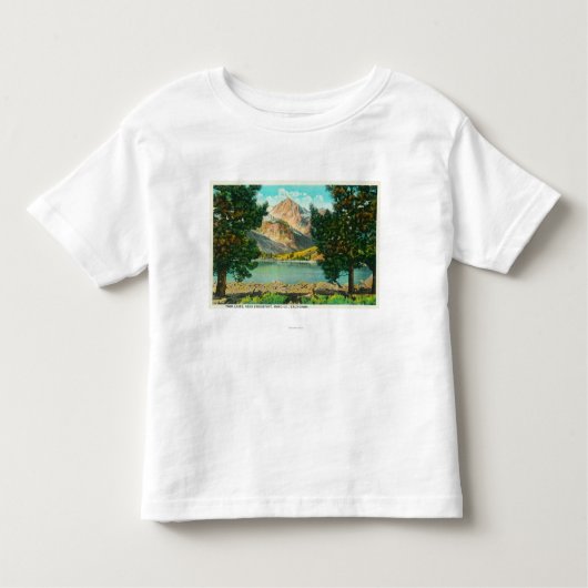 Uitzicht van Twin Lakes bij Bridgeport Kinder Shirts (Voorkant)