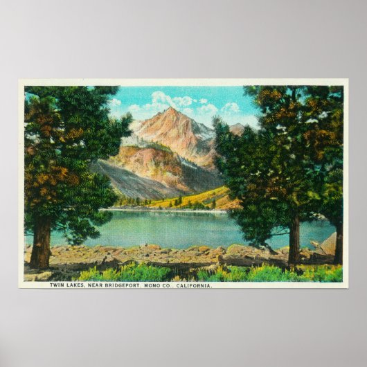 Uitzicht van Twin Lakes bij Bridgeport Poster (Voorkant)