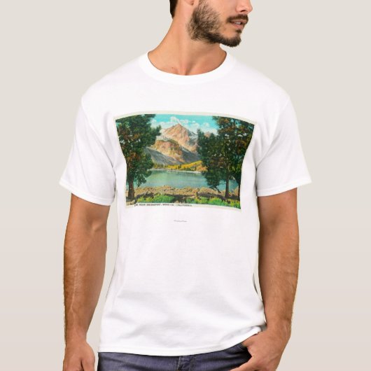 Uitzicht van Twin Lakes bij Bridgeport T-shirt (Voorkant)