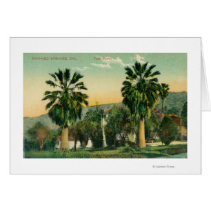 Uitzicht van Twin PalmsParaiso Springs, CA