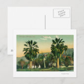 Uitzicht van Twin PalmsParaiso Springs, CA Briefkaart (Voorkant / Achterkant)