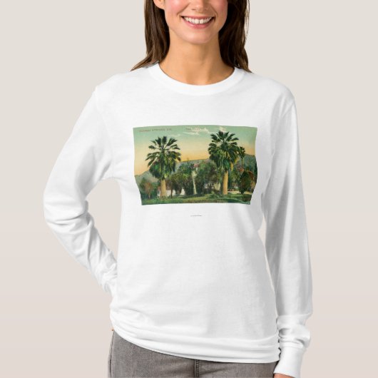 Uitzicht van Twin PalmsParaiso Springs, CA T-shirt (Voorkant)