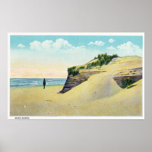 Uitzicht van Typical New England Sand Dunes Poster (Voorkant)