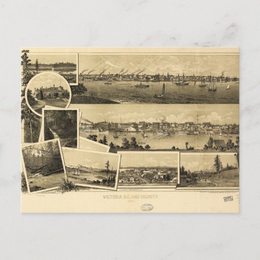 Uitzicht van Victoria, Brits Columbia (1884) Briefkaart (Voorkant)