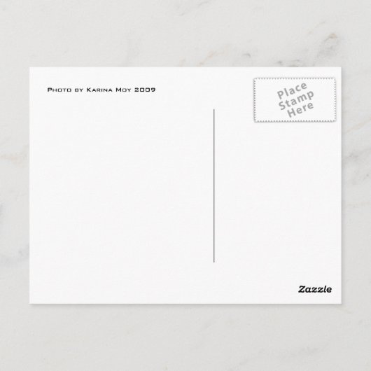 Uitzicht van Vieques Briefkaart (Achterkant)