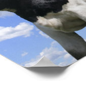 Uitzicht van vier jonge kalveren poster (Hoek)