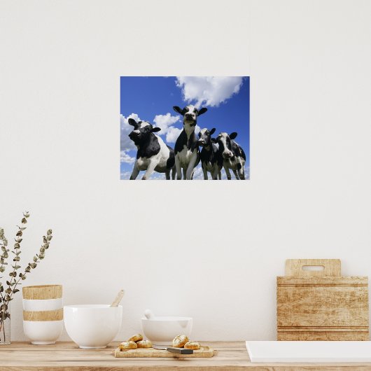 Uitzicht van vier jonge kalveren poster (Keuken)