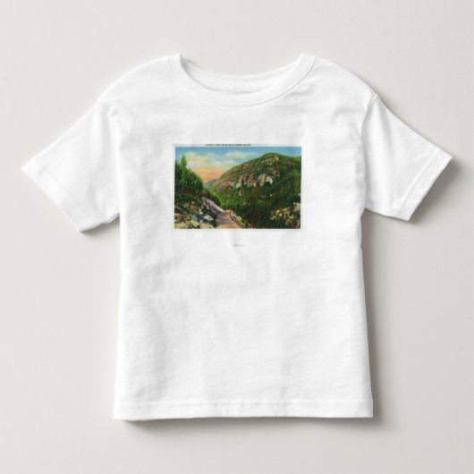 Uitzicht van viskreeften, Saranac Inn Kinder Shirts (Voorkant)
