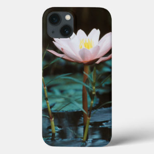 Uitzicht van waterLily bij het Inle Lake iPhone 13 Hoesje