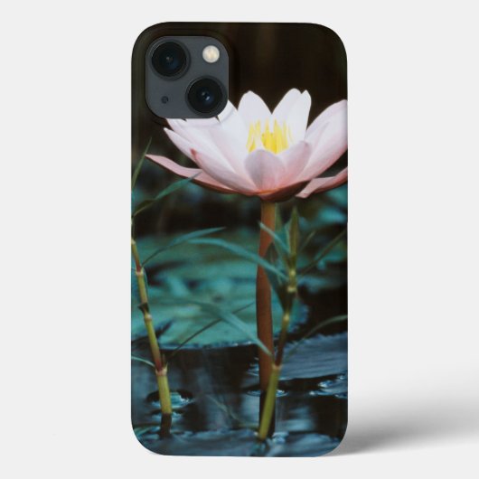 Uitzicht van waterLily bij het Inle Lake Case-Mate iPhone Case (Achterkant)