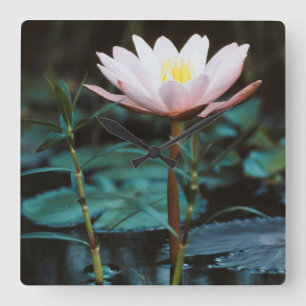 Uitzicht van waterLily bij het Inle Lake Vierkante Klok