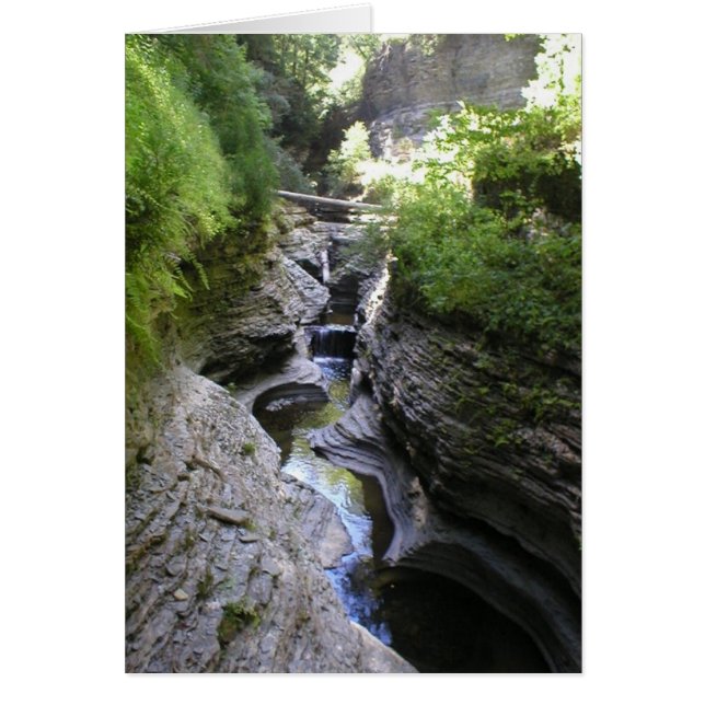 Uitzicht van Watkin's Glen (Voorkant)