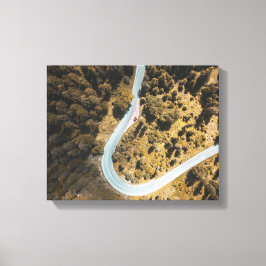 uitzicht van weg tussen bos canvas afdruk