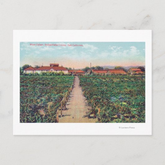 Uitzicht van wijngaarden en wijnkelders briefkaart (Voorkant)