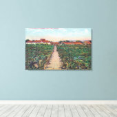 Uitzicht van wijngaarden en wijnkelders canvas afdruk (Insitu (Houten vloer))