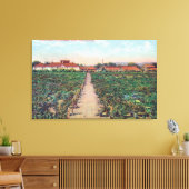 Uitzicht van wijngaarden en wijnkelders canvas afdruk (Insitu (Woonkamer))
